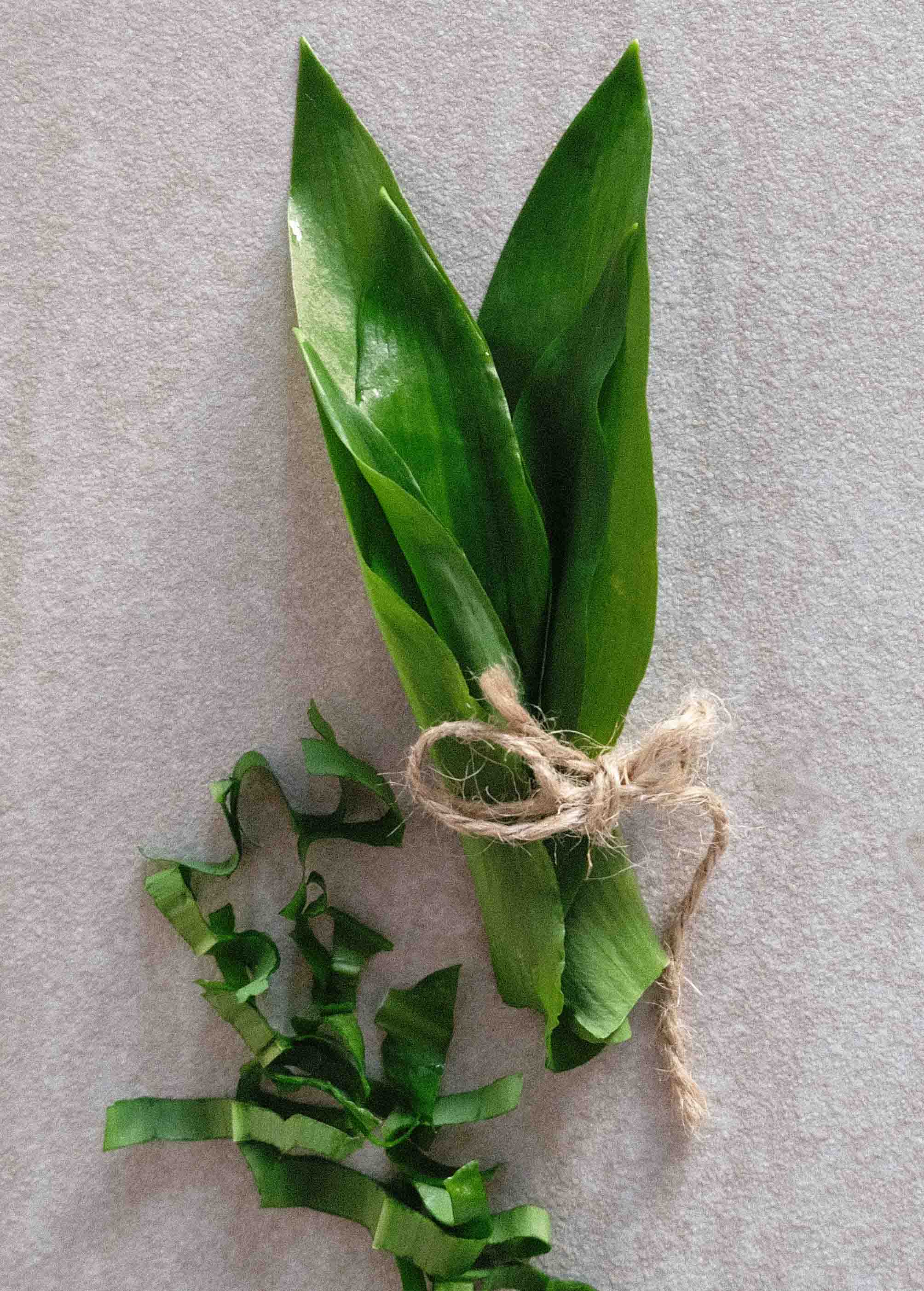 Bärlauch-Quinoa-Laibchen